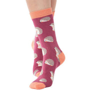miss-sparrow-london-3-pack-hedgehogs-sock-box---blueburgundyyellow-34596461