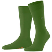 burlington-lord-socks---green-34329546