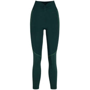 falke-training-studio-long-tights---holly-green-34308062