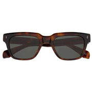 Botaniq Adventurer Sunglasses - Brown Tort