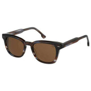 Botaniq Classic Distinct Shape Sunglasses - Havanna Brown