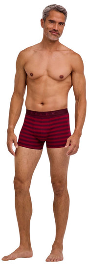Bokserki Falke Daily Comfort w paski - bordowe