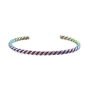 Ti2 Titanium Colourful Coil Bangle - Multi-colour